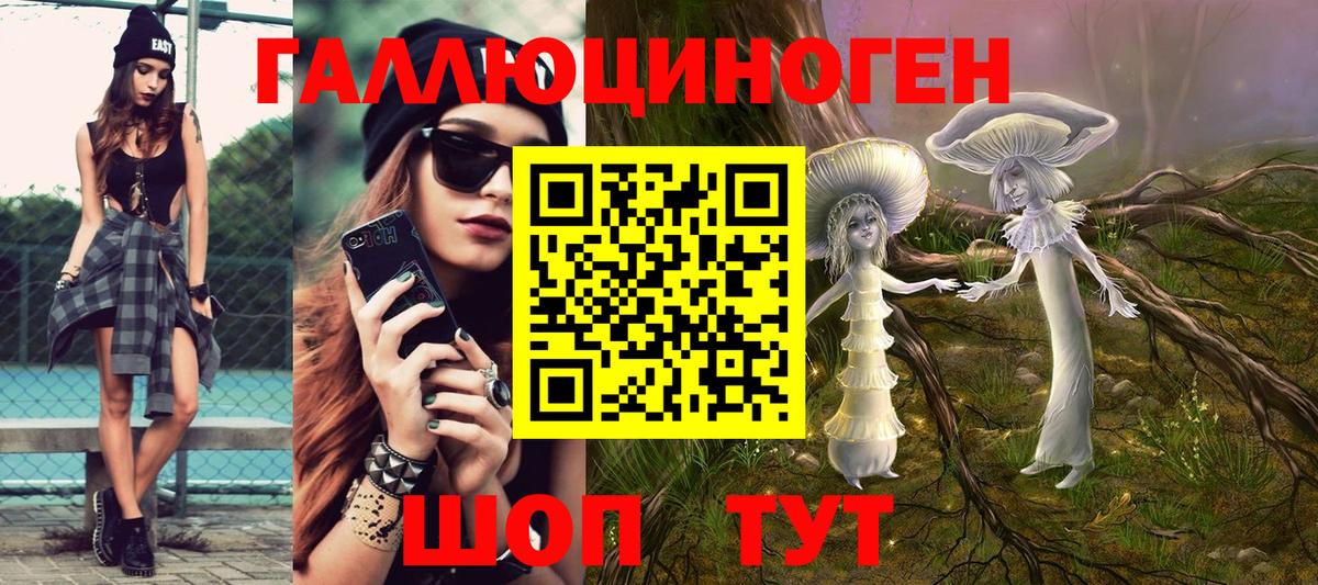 Псилоцибиновые грибы Psilocybine cubensis  Вход с VPN  Новоалександровск 